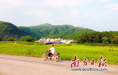 管塘村拥有5221亩生态公益林，近几年全村村民每年应分得的补偿金在5万元左右。
