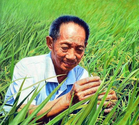 袁隆平（杂交水稻之父）